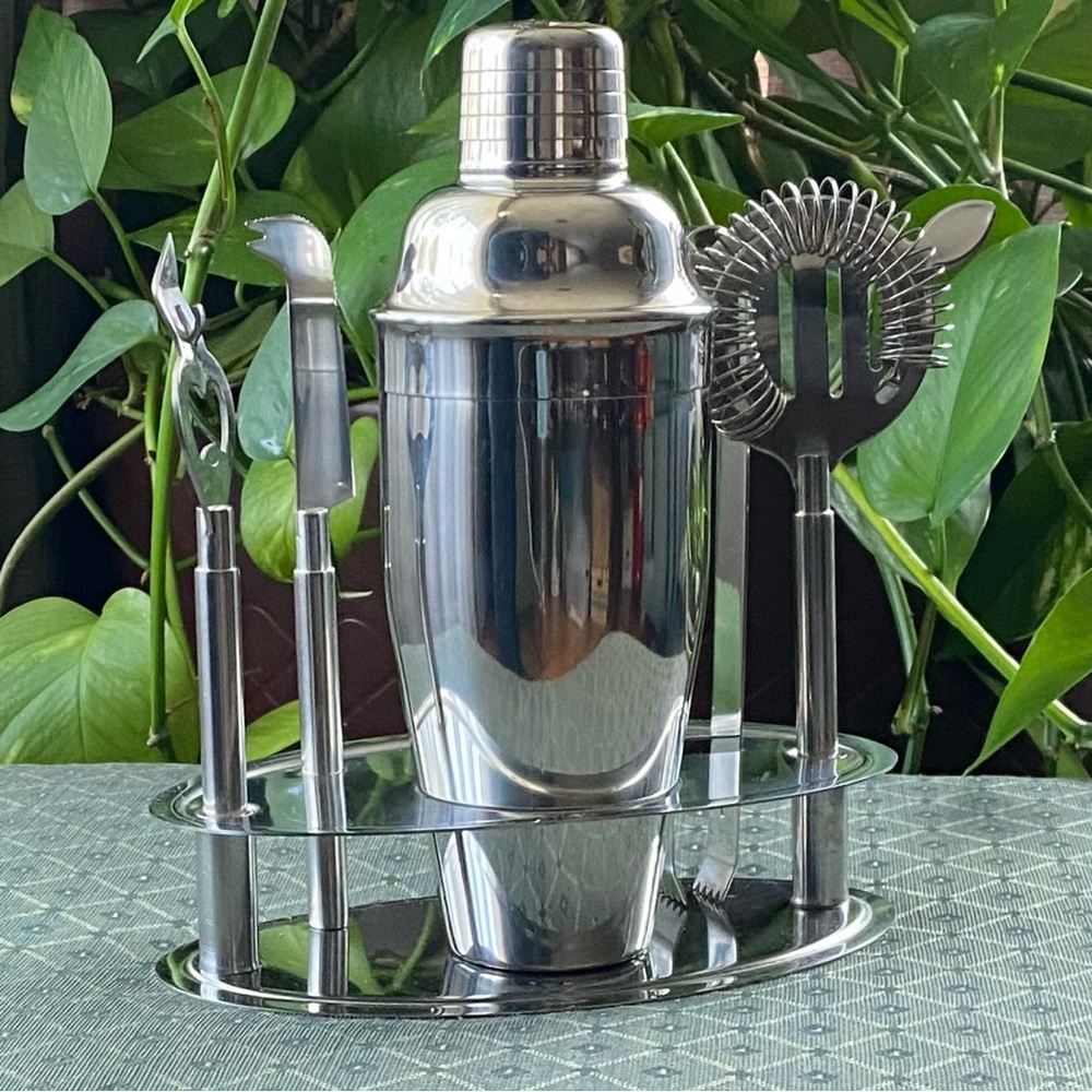 Pier 1 Imports Stainless Steel Cocktail Mixer Bar 6 piece Tool Set